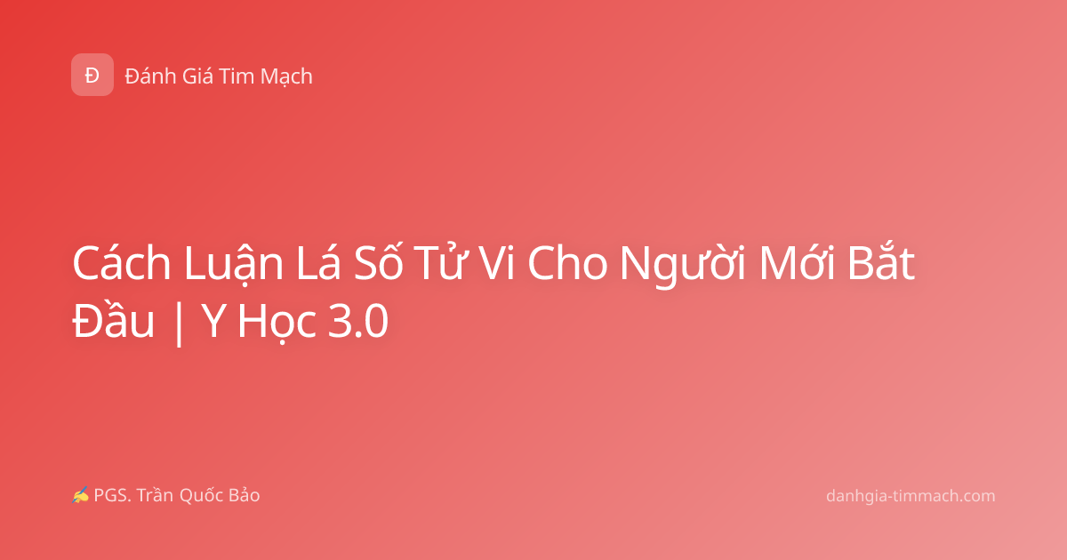 Cách Luận Lá Số Tử Vi Cho Người Mới Bắt Đầu | Y Học 3.0